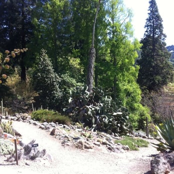UC Botanical Garden at Berkeley - When reaching a fork in the road, which path shall you choose - Botanical Gardens Near Me - Berkeley, California UC Botanical Garden at Berkeley - When reaching a fork in the road, which path shall you choose - Botanical Gardens Near Me - Berkeley, California