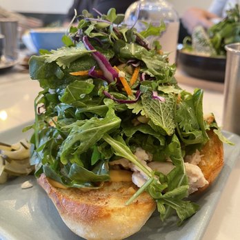 Harvest - Banh mi sandwich - Breakfast & Brunch Near Me - Park City, Utah Harvest - Banh mi sandwich - Breakfast & Brunch Near Me - Park City, Utah