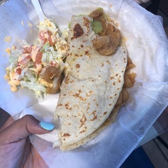 Tacos Pipeye - Quesadilla de Chicharon - Tacos Near Me - Santa Barbara, California Tacos Pipeye - Quesadilla de Chicharon - Tacos Near Me - Santa Barbara, California