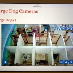 All American Pet Resorts Lakeshore
