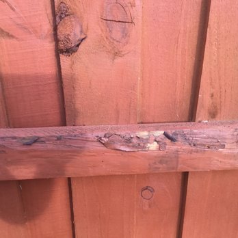 ASAP Fence & Gates - Any explanation needed? - Fences & Gates Near Me - Bradenton, Florida ASAP Fence & Gates - Any explanation needed? - Fences & Gates Near Me - Bradenton, Florida
