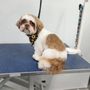 Photo of K Grooming
