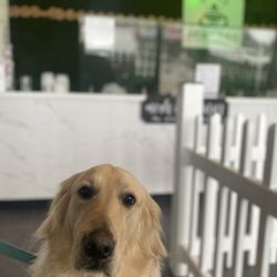 Beastro, Fresh Canine Cuisine - Front Desk