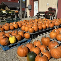 Schramm's Farm Market
