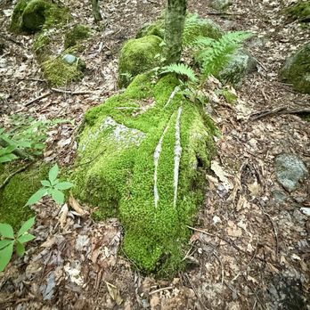 Sanders Hill Trail - Hiking Near Me - Rome, Maine