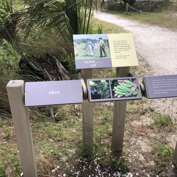 Wanderer Memory Trail - Foods (like okra) that were brought from Africa or incorporated into their meals... - Landmarks & Historical Buildings Near Me - Jekyll Island, Georgia Wanderer Memory Trail - Foods (like okra) that were brought from Africa or incorporated into their meals... - Landmarks & Historical Buildings Near Me - Jekyll Island, Georgia