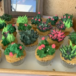 Succulent themed cupcakes with frosting. Succulent themed cupcakes with frosting.