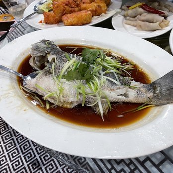 Royal Canton Seafood Palace - Fish - Seafood Near Me - Queens, New York Royal Canton Seafood Palace - Fish - Seafood Near Me - Queens, New York