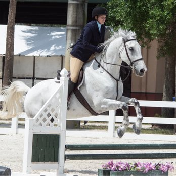 AURUM Performance Stables - Horseback Riding Near Me - Miami, Florida AURUM Performance Stables - Horseback Riding Near Me - Miami, Florida