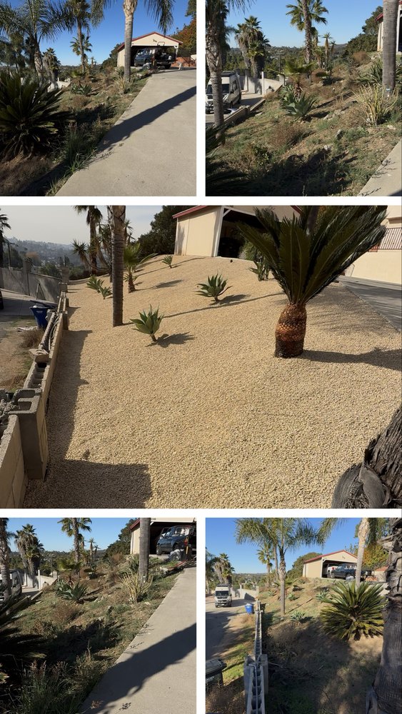 New Valley Landscaping Services - tree service in San Diego, CA
