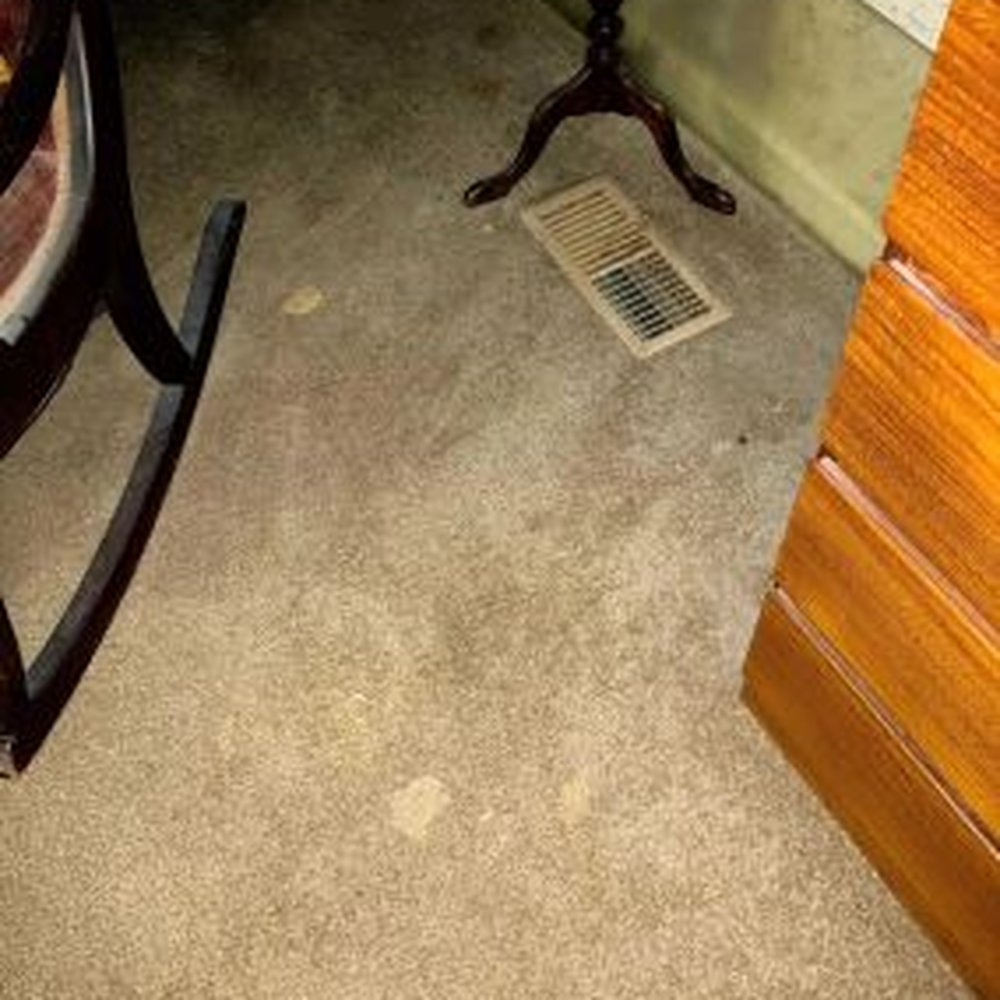 Hill's Termite & Pest Control - Pest Control Near Me - Cookeville, Tennessee
