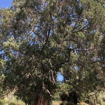 Big Bar Launch - Parks Near Me - Valley Springs, California
