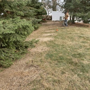 Chavez Tree Service - After - Tree Services Near Me - Lisle, Illinois Chavez Tree Service - After - Tree Services Near Me - Lisle, Illinois