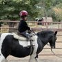 Photo of Frost Equestrian