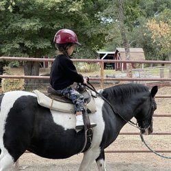 Frost Equestrian - My daughter riding Candy ( very calm and chill pony).