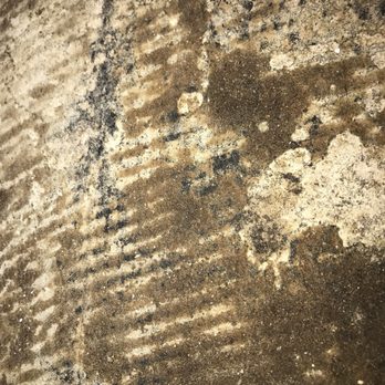 The Towers at Wyncote - And this is MORE MOLD!! - Apartments Near Me - Wyncote, Pennsylvania