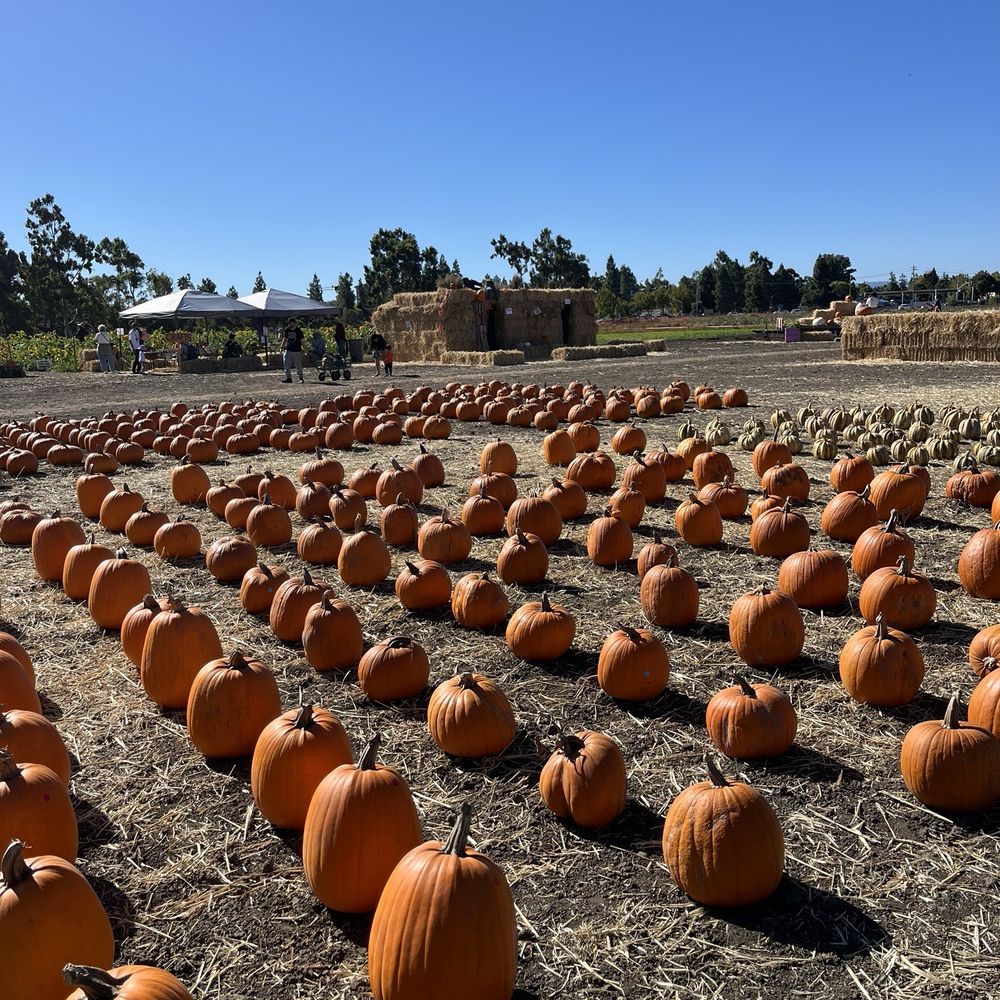 Loomis Furnished Monthly Rentals and Extended Stays | Airbnb, image size:1000x1000