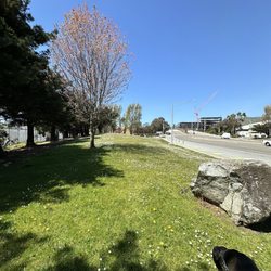 Jack Drago Park - Weak lot size. No fencing, no trash cans, no water station, no parking lot.  Terrible excuse for a dog park.