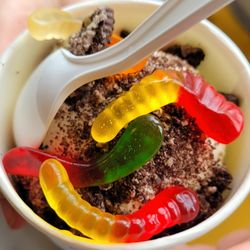Whit's Frozen Custard - Dirty Worm Sundae