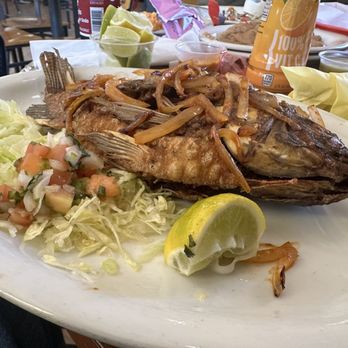 Rosales Mexican Restaurant - Mojarra/ Tilapia - Mexican Near Me - Santa Barbara, California Rosales Mexican Restaurant - Mojarra/ Tilapia - Mexican Near Me - Santa Barbara, California
