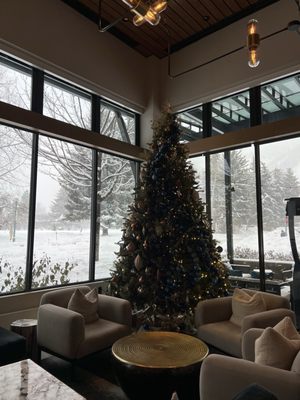 Limelight Aspen by null