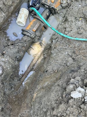 Daum Property Investment Logo