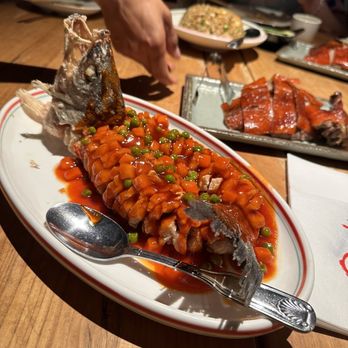 O Mandarin - Sichuan Storm Fish - Chinese Near Me - Hartsdale, New York O Mandarin - Sichuan Storm Fish - Chinese Near Me - Hartsdale, New York