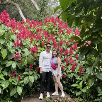 Hawaii Pacific Adventures - Nature - Bus Tours Near Me Hawaii Pacific Adventures - Nature - Bus Tours Near Me