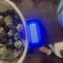 Photo of RISE Dispensaries Lakewood Madison