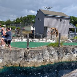 Max's Country Golf
