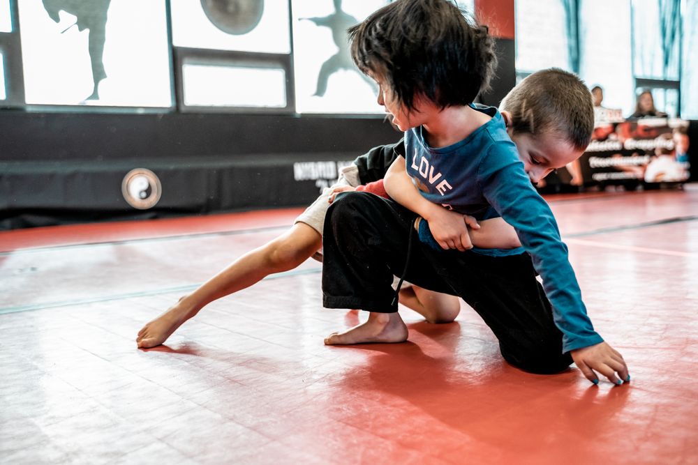 Hybrid Nation MMA Image