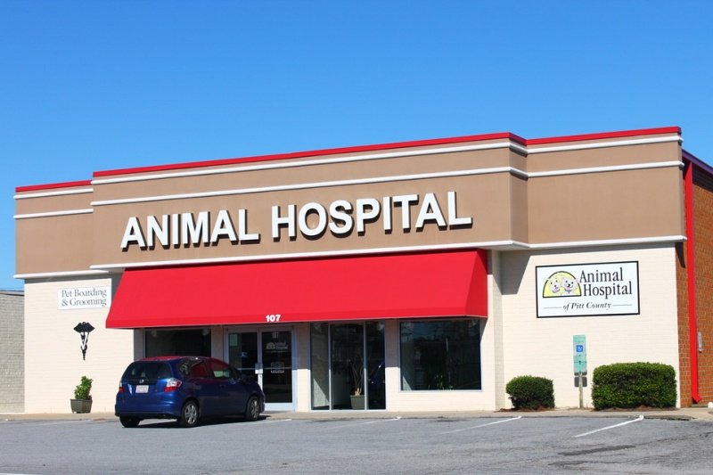 ANIMAL HOSPITAL OF PITT COUNTY Updated September 2024 21 Photos