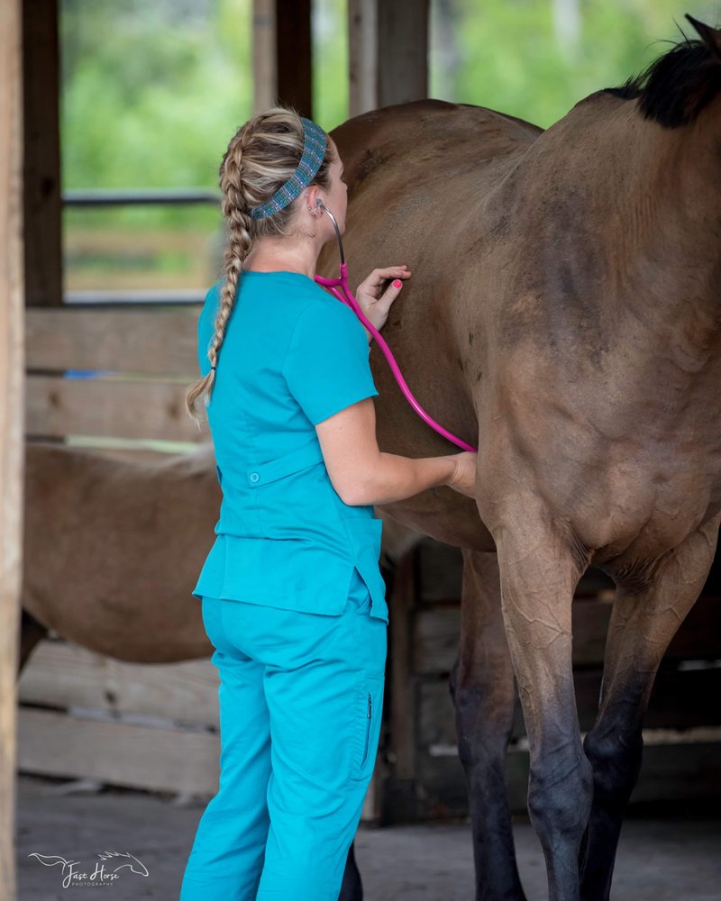 Shelton Veterinary Clinic Image