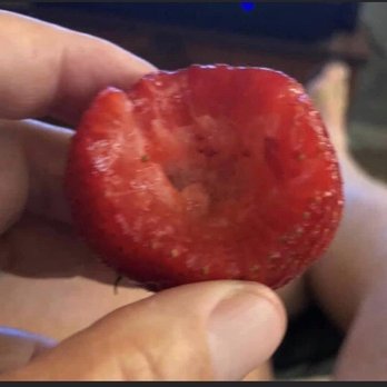 Fay's Place - a hand holding a strawberry - Farmers Market Near Me - Isleton, California Fay's Place - a hand holding a strawberry - Farmers Market Near Me - Isleton, California