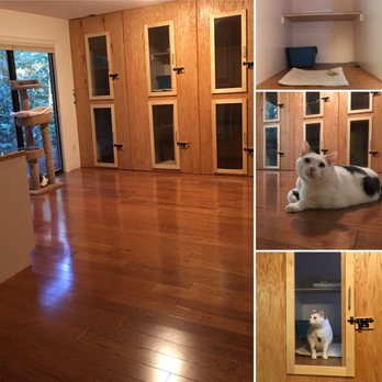 Charlotte's Cat Shack Cat Boarding - Our private cat apartments have plenty of space, comfortable bedding and a shelf to sleep on. - Pet Sitting Near Me - Olympia, Washington Charlotte's Cat Shack Cat Boarding - Our private cat apartments have plenty of space, comfortable bedding and a shelf to sleep on. - Pet Sitting Near Me - Olympia, Washington