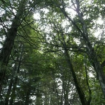 Tilden Regional Park - Parks Near Me - Berkeley, California