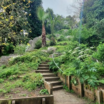 Huntington Falls - Stairs next to waterfall - Landmarks & Historical Buildings Near Me - San Francisco, California Huntington Falls - Stairs next to waterfall - Landmarks & Historical Buildings Near Me - San Francisco, California