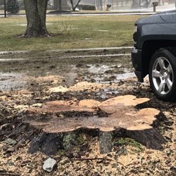 Turners Tree and Landscape - Stump grinding