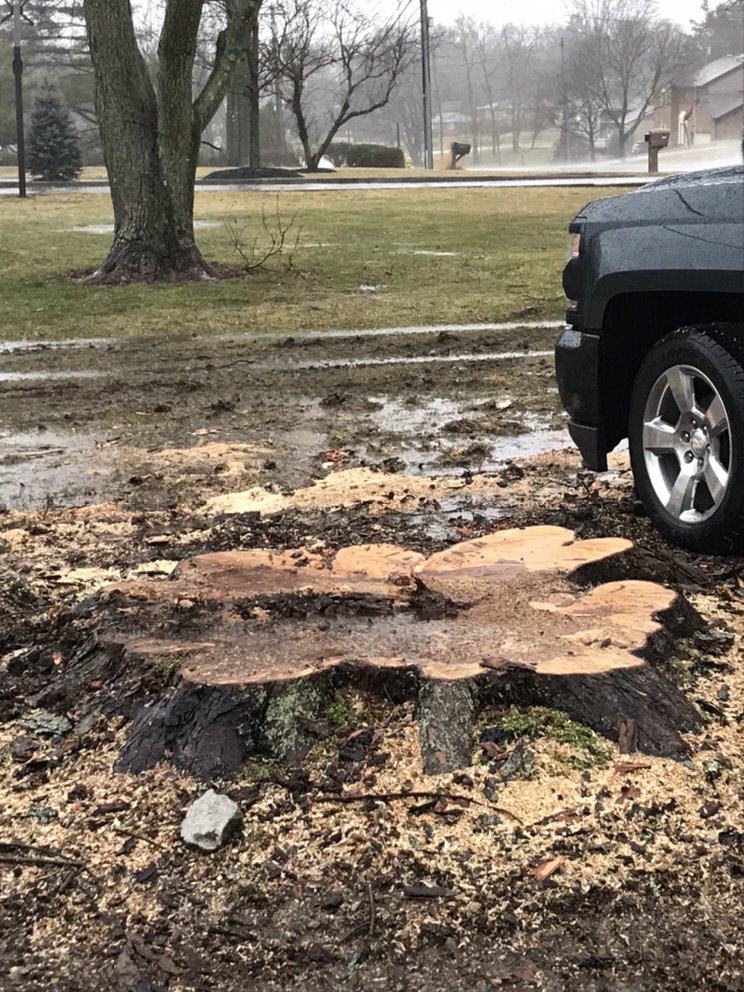 Turners Tree and Landscape - tree service in Groesbeck, OH