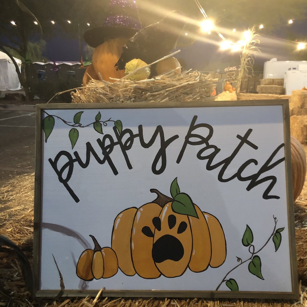 Halloween Town Pumpkin Patch - Pumpkin Patches Near Me - Chandler, Arizona
