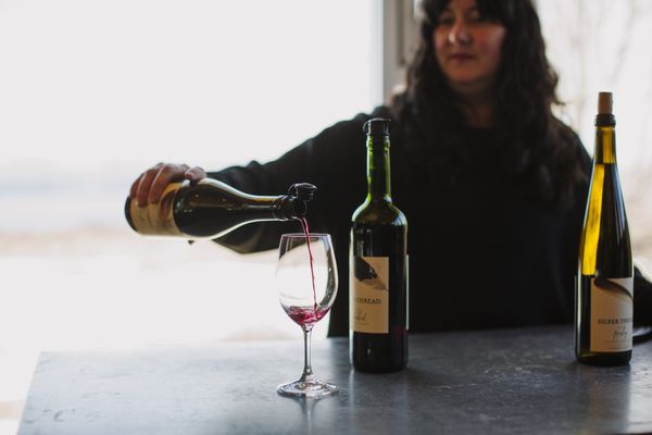 Silver Thread Vineyard by null