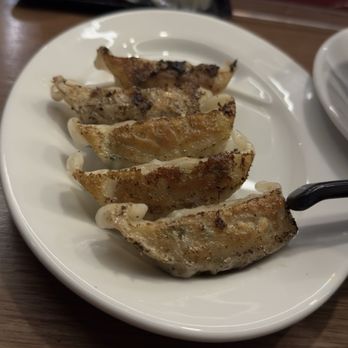 Ramen Danbo - Pan-Fried Pork Gyoza - Ramen Near Me - Brooklyn, New York Ramen Danbo - Pan-Fried Pork Gyoza - Ramen Near Me - Brooklyn, New York