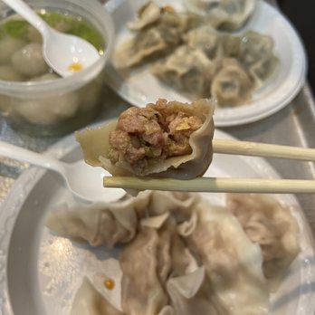 Tasty Dumpling - 4. Cabbage and Pork Boiled Dumpling Plate 13. Fish Ball Noodle Soup  3. Chives and Pork Boiled Dumpling Plate - Chinese Near Me - New York, New York