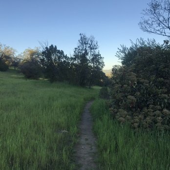 Dinosaur Hill Park - Parks Near Me - Pleasant Hill, California
