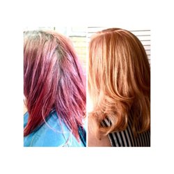 Atelier - Apricot color makeover by Sydney Youell
