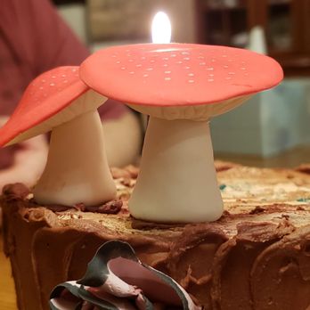 Sweet & Shiny - a chocolate cake with a red mushroom on top - Custom Cakes Near Me Sweet & Shiny - a chocolate cake with a red mushroom on top - Custom Cakes Near Me