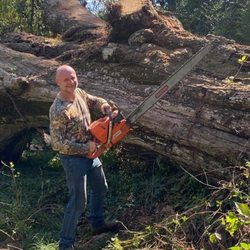 Mallett’s Tree removal