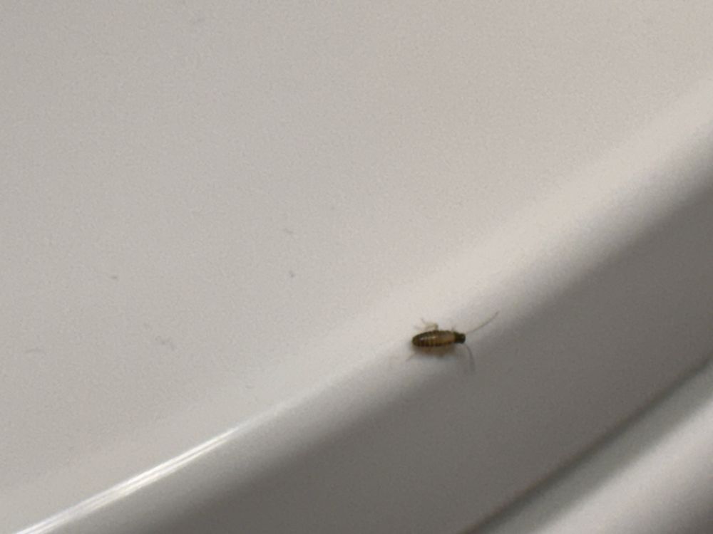 TownePlace Suites Raleigh Cary/Weston Parkway