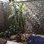 Photo of Garden by the Sea B&B