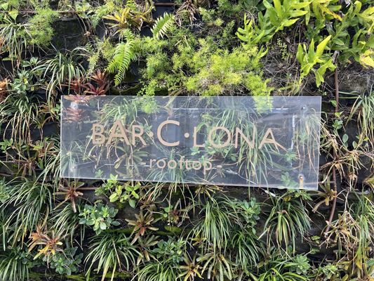 AC Hotel San Juan Condado by null